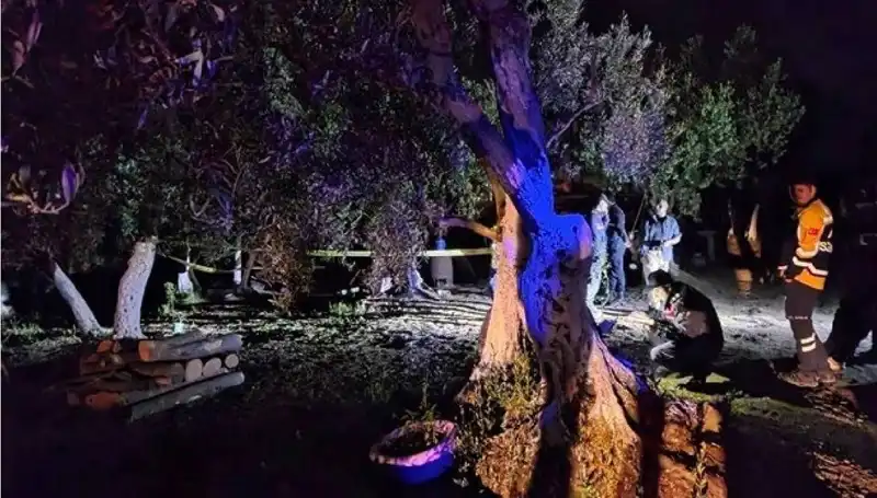 Çiftlikteki Baltalı Vahşet Olayında Şoke Eden Tutuklama: Detaylar Ortaya Çıktı