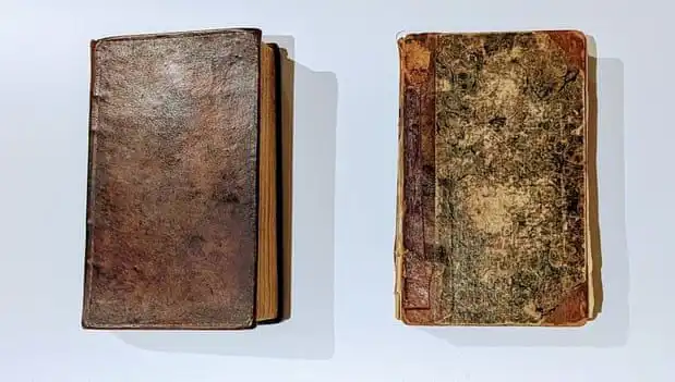 200 Yıllık Sır Ortaya Çıktı: Katilin Derisiyle Yapılan Kitap Müze Rafta