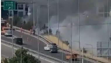 Anadolu Otoyolu'ndaki Yangın Panik Yarattı: Sigara İzmariti Sebep Oldu!