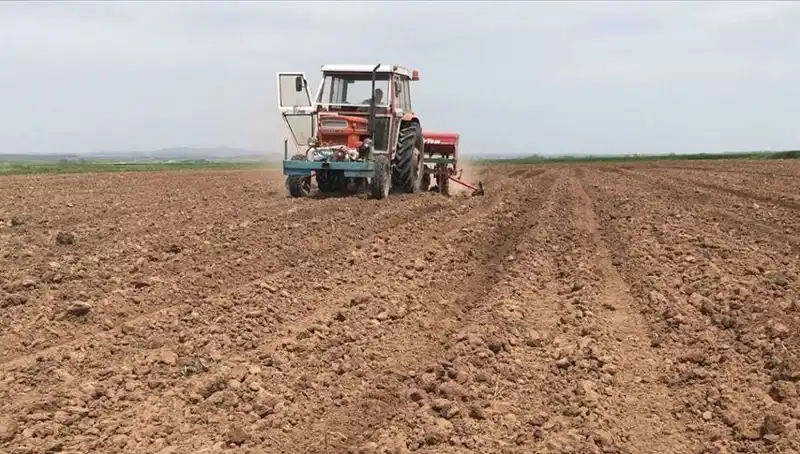 Son 35 Yılın En Kurak Mart Ayı: Yağış Miktarı Endişe Verici Düzeyde Düştü