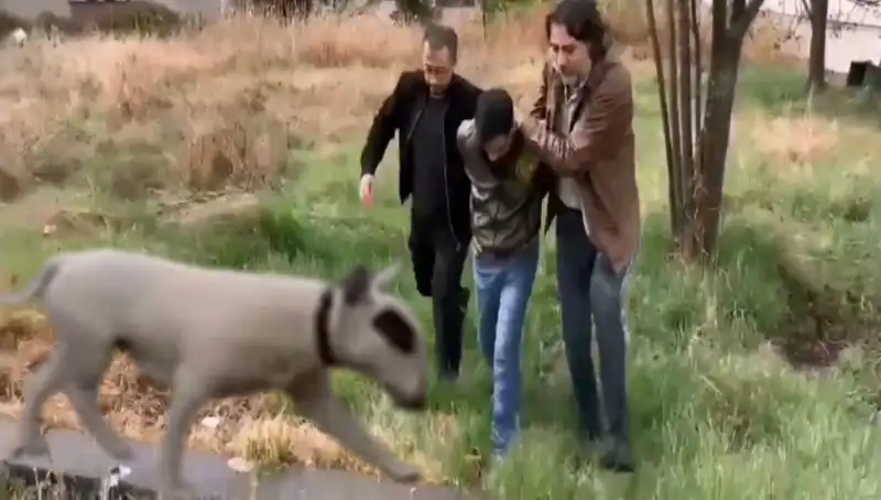430 Bin Lira Değerindeki Şampiyon Köpeği Çalan Hırsız Yakalandı