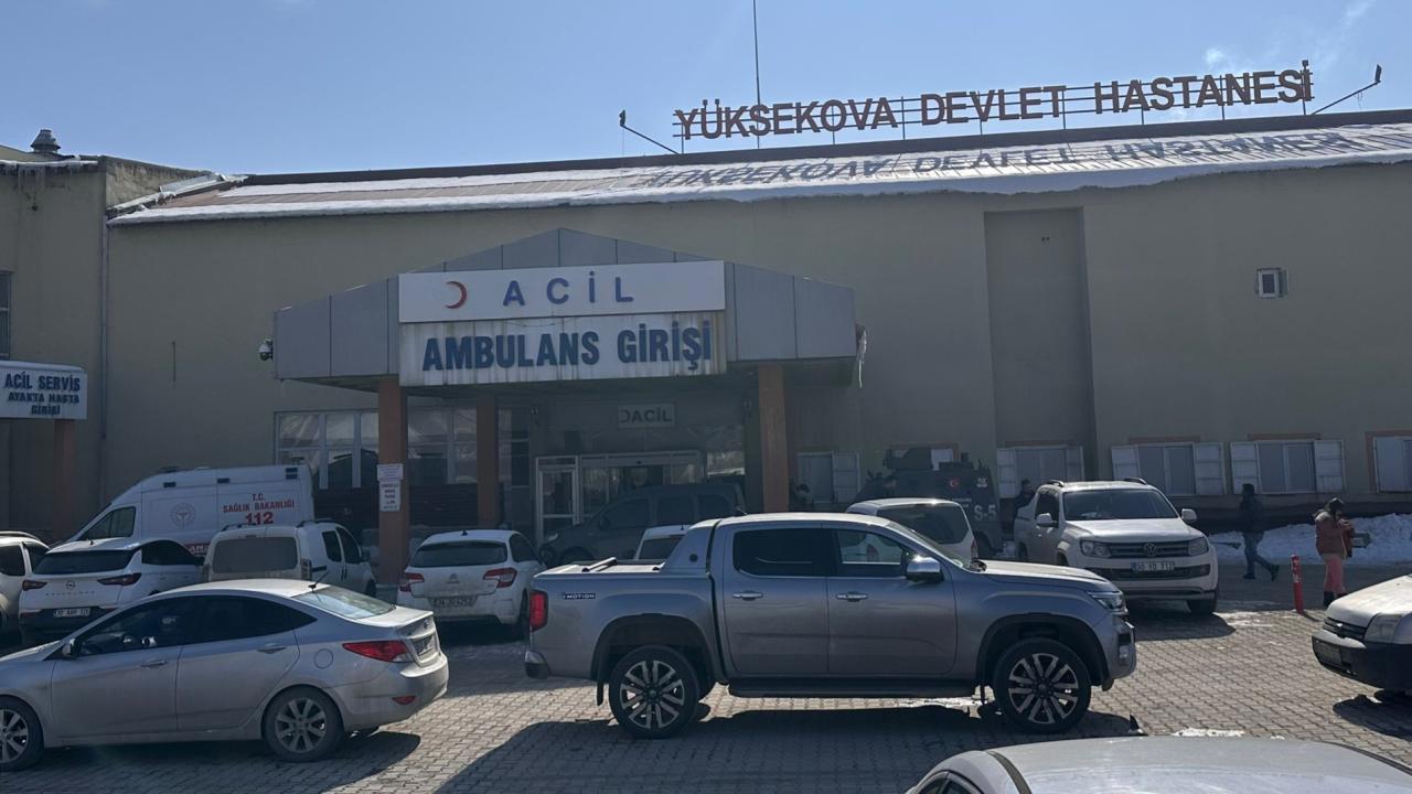Başıboş köpeklerin saldırısında ölen çocuğun ölümüyle ilgili soruşturma başlatıldı