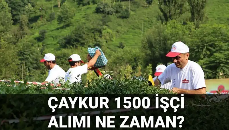 Çaykur İşçi Alımı Başvuru Tarihleri ve Süreç Detayları Açıklandı