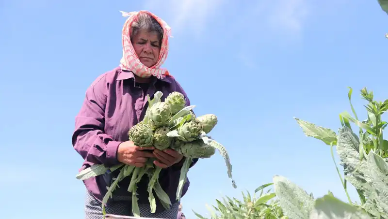 Tarım Ürünlerinde Fiyat Artışı: Tezgahlar Şok Yarattı