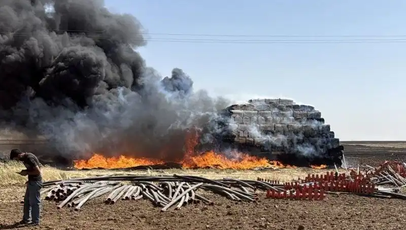 Mardin'de Anız Yangını: Çiftçiler ve Doğa İçin Tehlike Sinyalleri