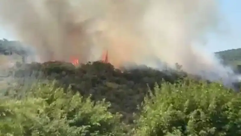İstanbul Orman Yangını: Vatandaşlar Acil Tahliye Edildi, Durum Ciddi!