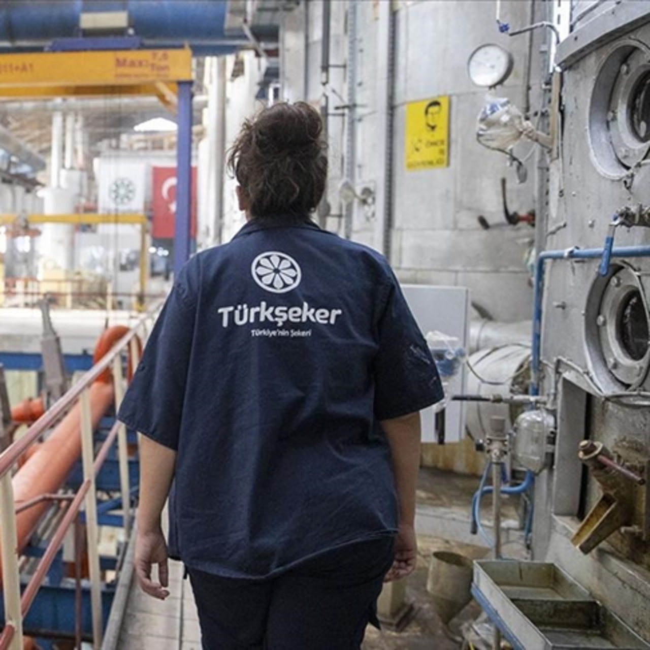 Türkşeker 1350 Geçici İşçi Alımı Yapıyor: Başvurular Başladı