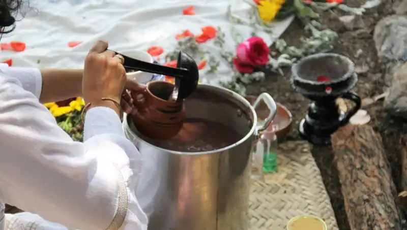 Ayahuasca Çayı: Şifalı İçeriği ve Yasak Durumu Nedir?