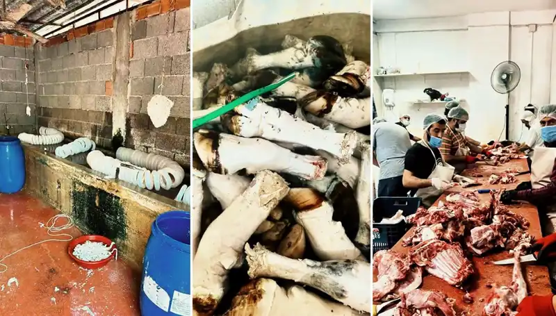 Adana'da Şok Eden Olay: Yüzlerce Kilo  Paça Ele Geçirildi!