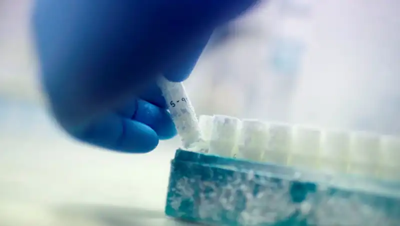 Felaket mi Fırsat mı? 85 Sperm Donörü ile Binlerce Çocuğun Hikayesi