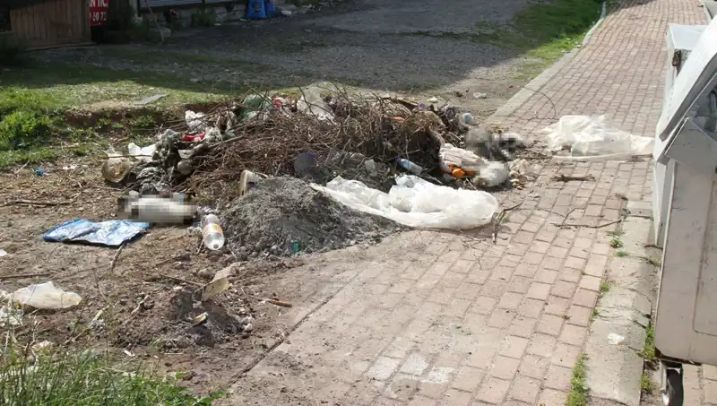 Antalya'da Kedilerin Ölümü Şok Etti: Hayvanseverler Soruşturma İstiyor