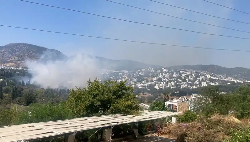 Muğla'daki Orman Yangınları Kontrol Altına Alındı: Son Durum ve Detaylar