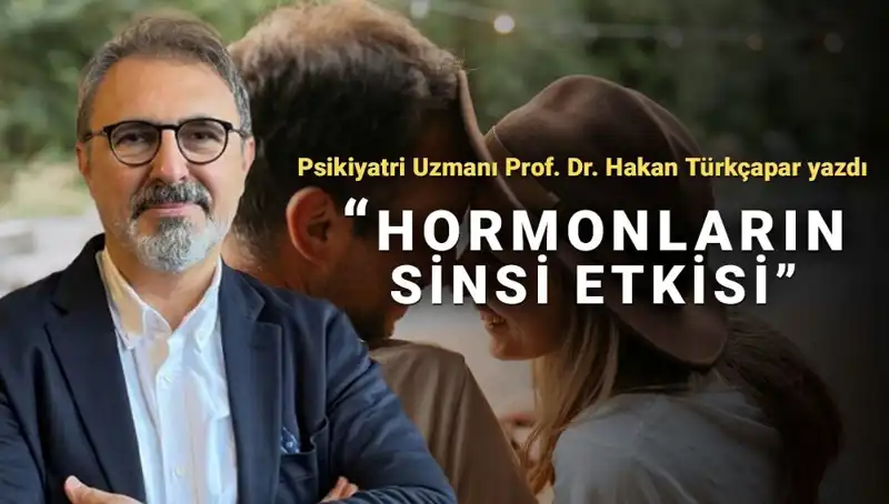 İnsan İlişkilerinde Cinsiyet Farklılıkları: Prof. Dr. Türkçapar'ın Yeni Teorisi