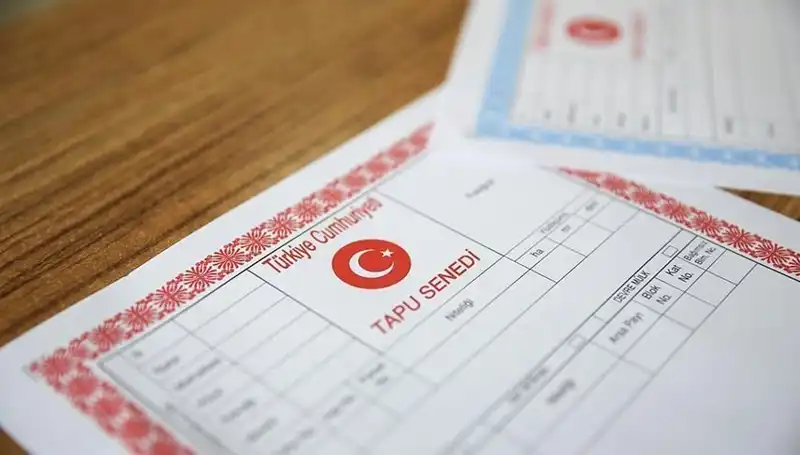 Hisseli Tapu Dolandırıcılığı: 100 Milyonluk Çark Çökerken Hileler Ortaya Çıktı