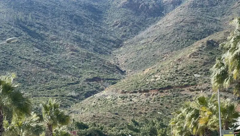 Marmaris Ormanları Yangın Sonrası Yeşermeye Başladı: 4 Bin Hektar Fidanla Canlandı!