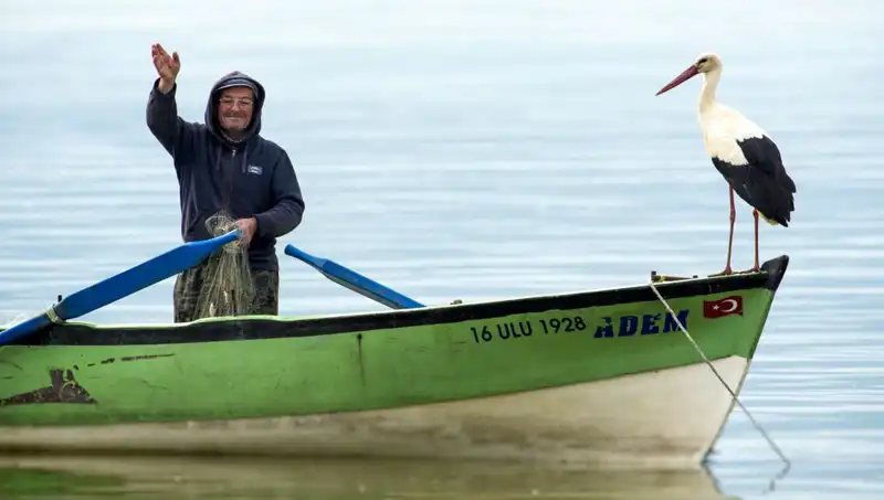 Yaren Leylek Geldi Mi? Yıllık Geleneğin Ardındaki Sır Perdesi