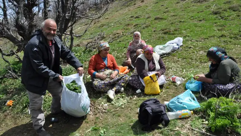 Yürüyerek Reel Gelir Elde Eden Aileler: Fındık ve Zorlu Yolculukları