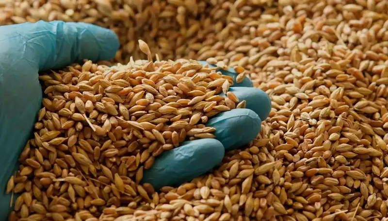 Kalp Hastalığı Riskini Azaltan Beslenme Prensipleri Neler?