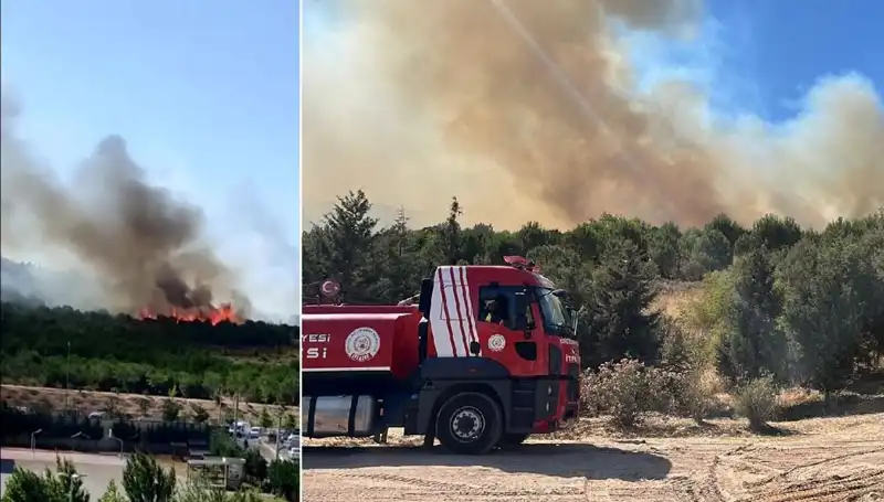 Gebze'de Yangın Alarmı: Orman Yangını Korkuttu, Ekipler Seferber Oldu!