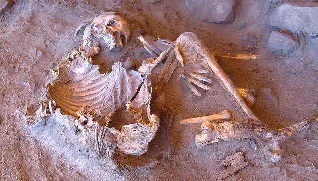 Yeni Mumya Keşfi, İnsanlığın Soy Ağacını Nasıl Yeniden Şekillendiriyor?
