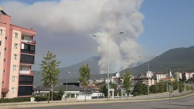 Denizli’de Orman Yangını: Şüpheli Gözaltında, Yangının Sebepleri Araştırılıyor