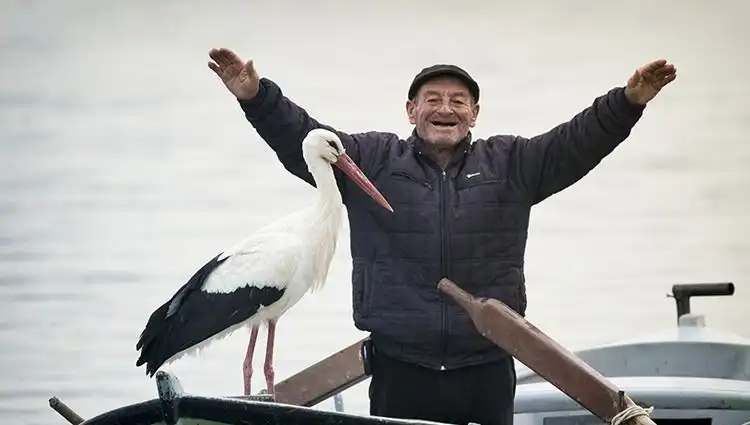Yaren Leylek'in Gelişi: Doğa Fotoğrafçısı Alper Tüydeş'ten Heyecan Verici Detaylar