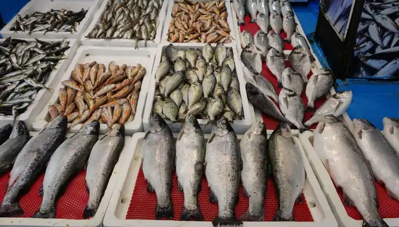 Yasaklar Sona Erdi: Tezgahlar Artık Onlara Kaldı!
